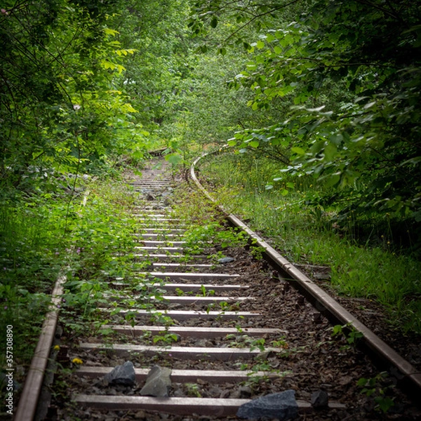 Fototapeta Alte Bahngleise im Wald  
