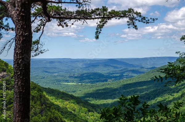 Fototapeta mountain landscape with trees and clouds