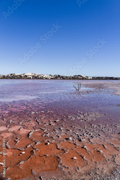 Obraz Pink salt lakes at Point Sinclair, South Australia