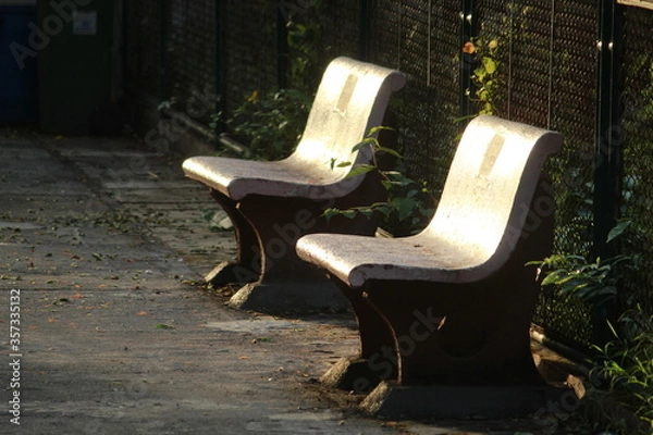 Obraz park bench in the park