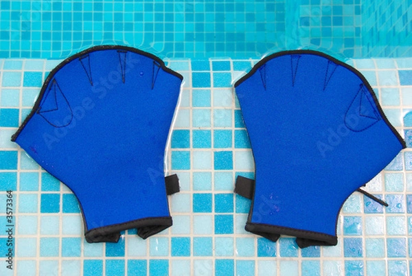 Obraz Aqua gloves lie on the coast swimming-pool