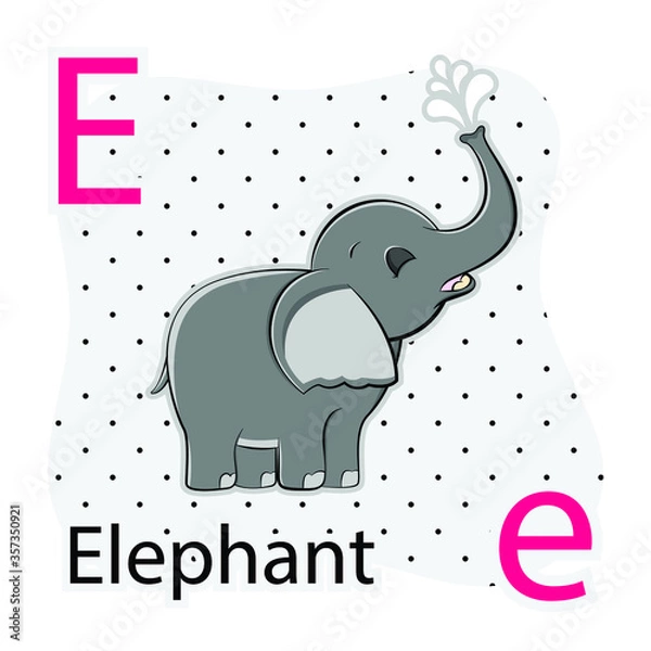 Fototapeta E-Elephant.  A-Z alphabet animal collection. learning and teaching materials. for the development of children. online learning.