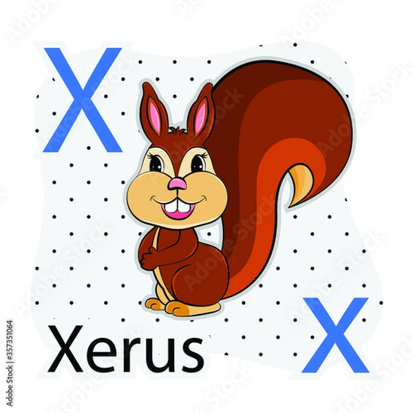 Fototapeta X-Xerus. A-Z alphabet animal collection. learning and teaching materials. for the development of children. online learning.