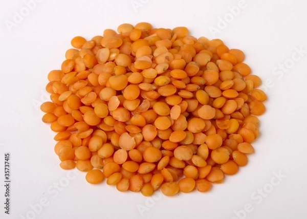 Obraz red lentil