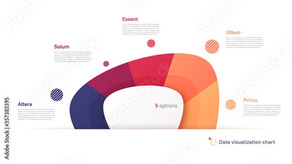 Fototapeta Vector pie chart infographic template in the form of abstract shape divided by five parts