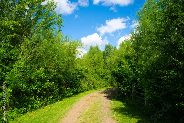 Obraz Un chemin de nature 