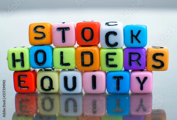 Fototapeta Conceptual of stockholders equity of balance sheet items financial statements spelled on colorful alphabet beads. Isolated over reflective dark background. 