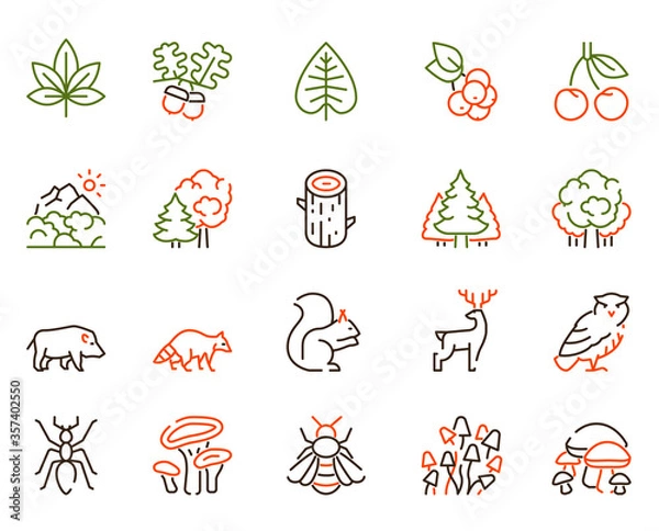 Fototapeta Vector color linear icon set of forest objects