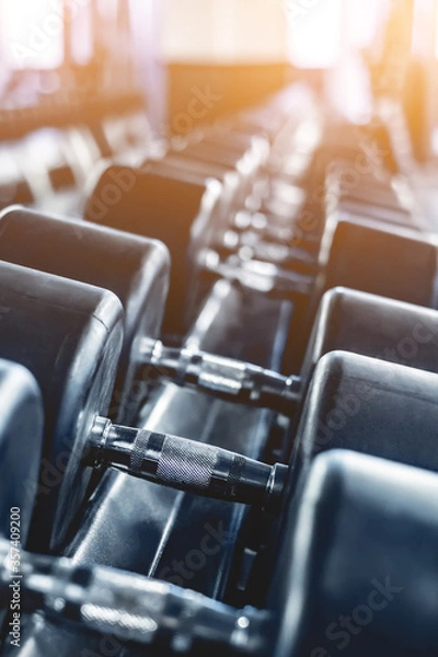 Fototapeta row of dumbbells in modern gym, close up