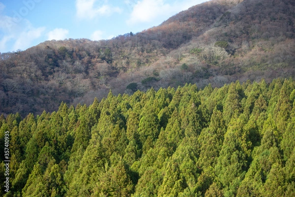 Obraz Japanese landscape