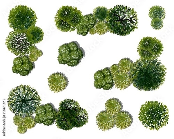 Fototapeta Set of watercolor tree top view for landscape plan and architecture layout
