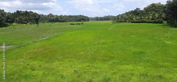Obraz Nature Palackamattom,  kerala 