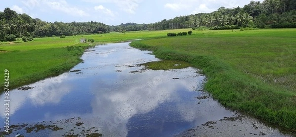 Obraz Village canal, Palackamattom, ketala