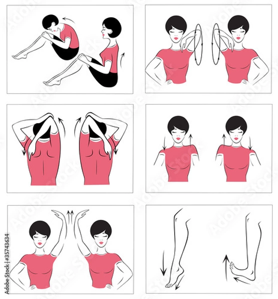 Fototapeta Векторный набор гимнастических упражнений