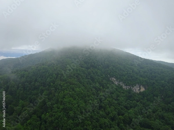 Obraz fog in the mountains