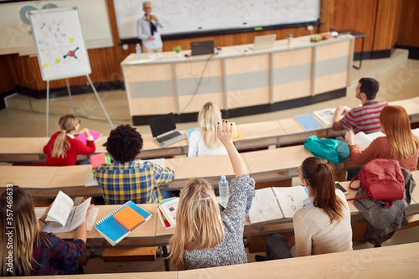 Fototapeta Studenci na wykładzie w amfiteatrze