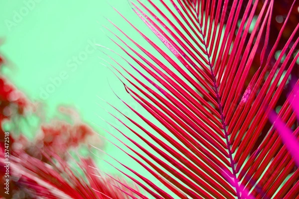 Fototapeta Abstract background with red decorative palm trees