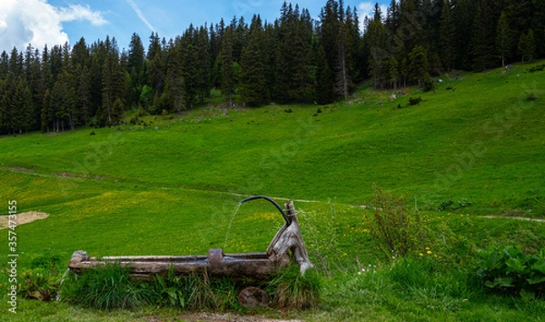 Fototapeta Alpine open air wooden well with drinking water. Natural source spring of water. Clean, fresh, natural spring of drinking water falls in a wooden channel.
