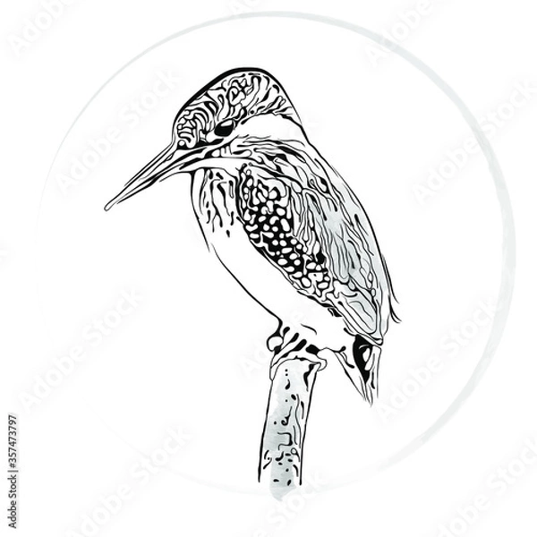 Fototapeta kingfisher on a fantasy branch on a white background