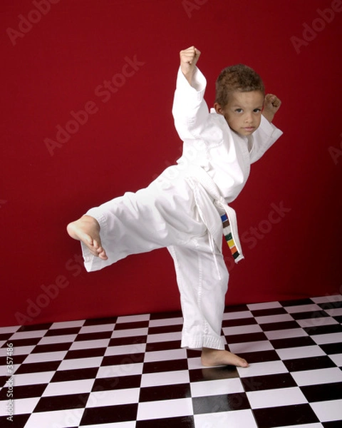 Fototapeta martial arts