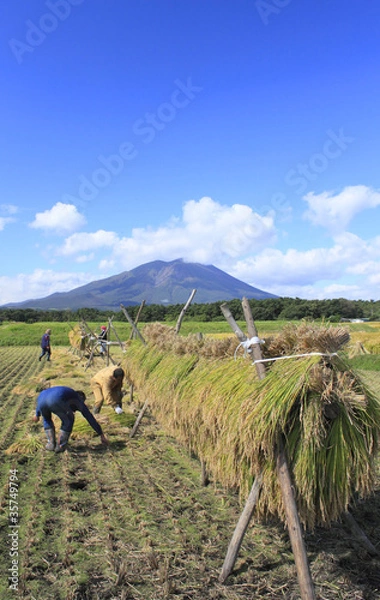 Obraz はさがけと岩手山