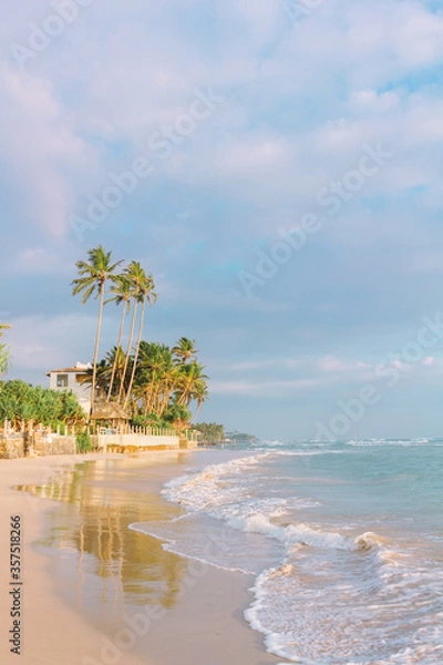 Fototapeta Tropical beach in soft evening sunlight. Sandy shore, palm trees and soft ocean wave. Ahangama, Sri Lanka.
