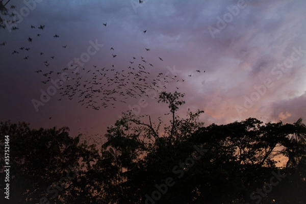 Fototapeta time lapse sunset