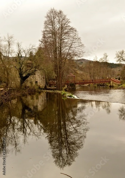 Obraz lago, floresta, linda
