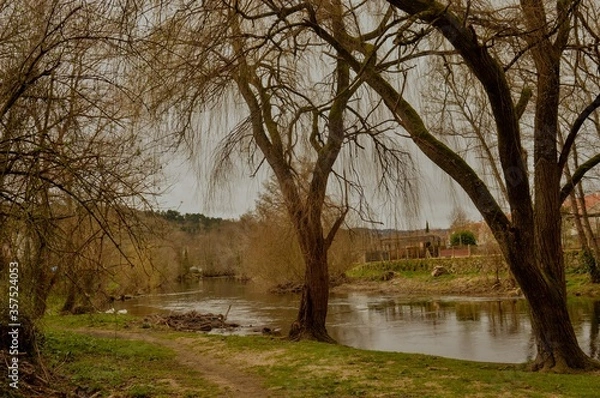 Obraz arvores, natureza