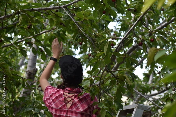 Obraz girl on a tree