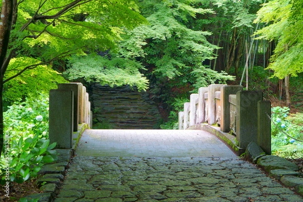 Obraz 阿弥陀寺参道