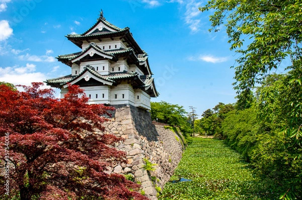 Obraz Small Japanese castle Hirosaki Castle in Aomori, Japan with trees in the front and moat covered by Lotus leaves