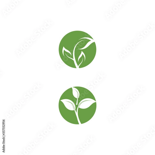 Fototapeta Leaf Logo Template vector symbol
