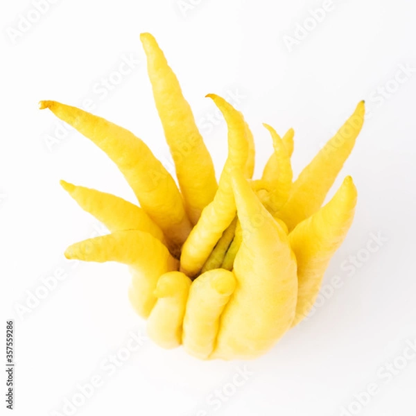 Obraz Buddha's hand fruit on white background