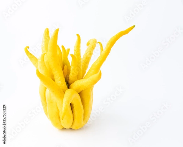 Fototapeta Buddha's hand fruit on white background