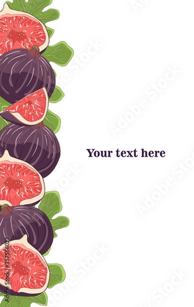 Fototapeta Fig vector card