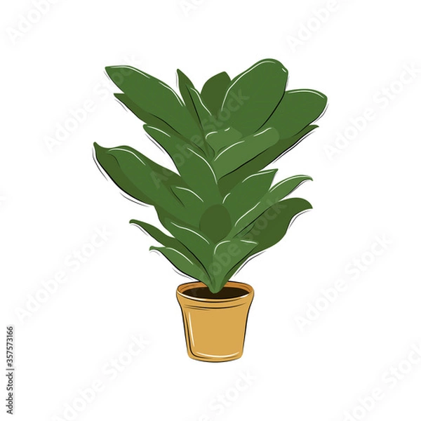 Obraz Plant in pot4
