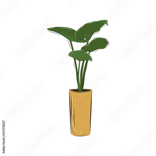 Obraz Plant in pot6