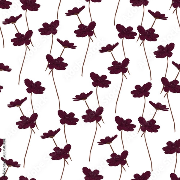 Obraz Chocolate cosmos seamless white backdrop