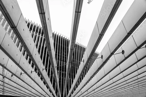 Obraz black and white abstract