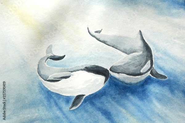 Obraz water color marine art with couple killer whale