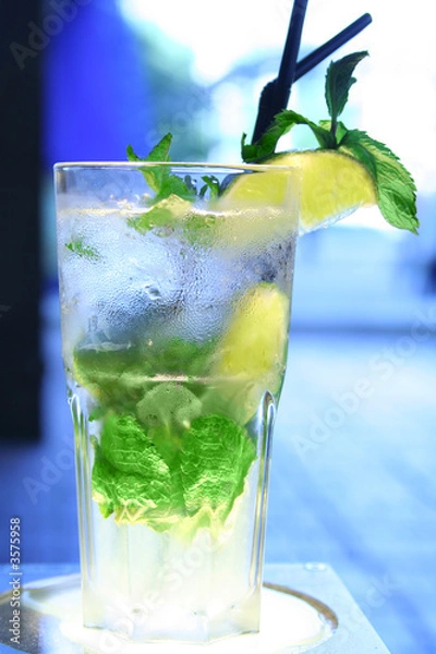 Obraz cold Mojito