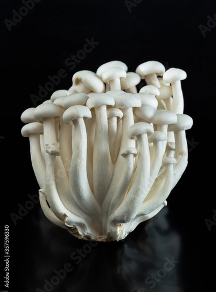 Fototapeta Bunch of white shimeji mushrooms