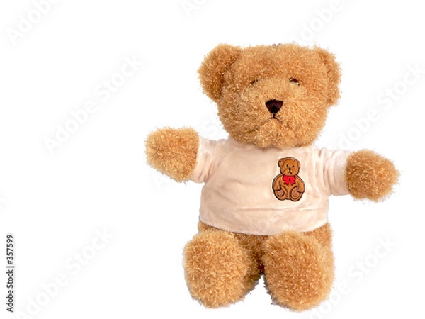 Obraz toy bear
