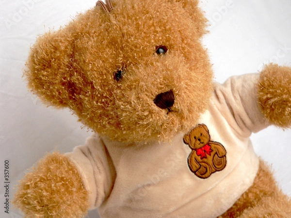 Obraz teddy bear