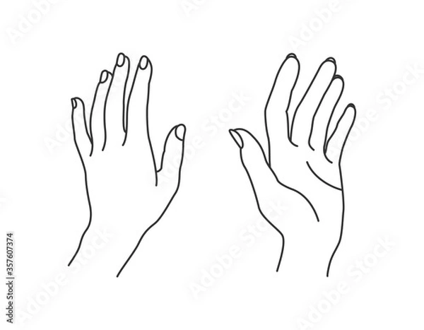 Fototapeta Vector line art illustration of hands