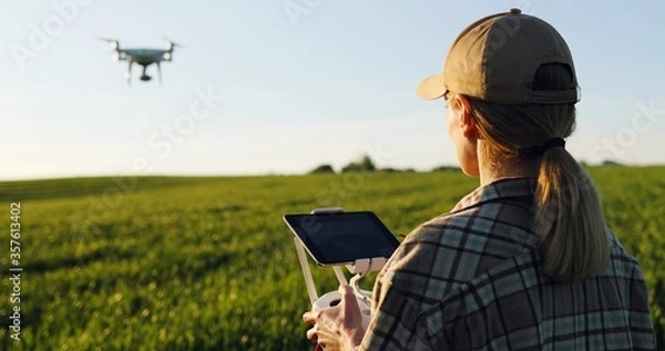 Fototapeta Close up of rear of Caucasian woman farmer in hat standing in green wheat field and controlling of drone which flying above margin. Female using tablet device as controller. Technologies in farming.