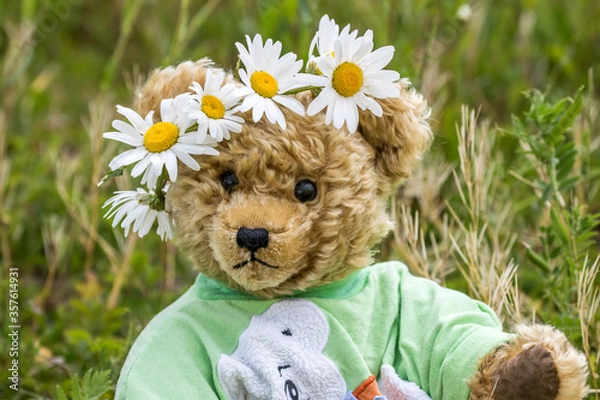 Obraz Teddy im Frühling