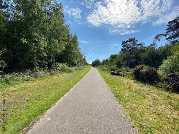 Fototapeta Bicycle path between forest and blue sky