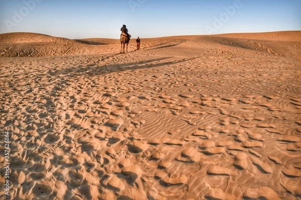 Fototapeta Beautiful view of the camel at Jaisalmer desert.
